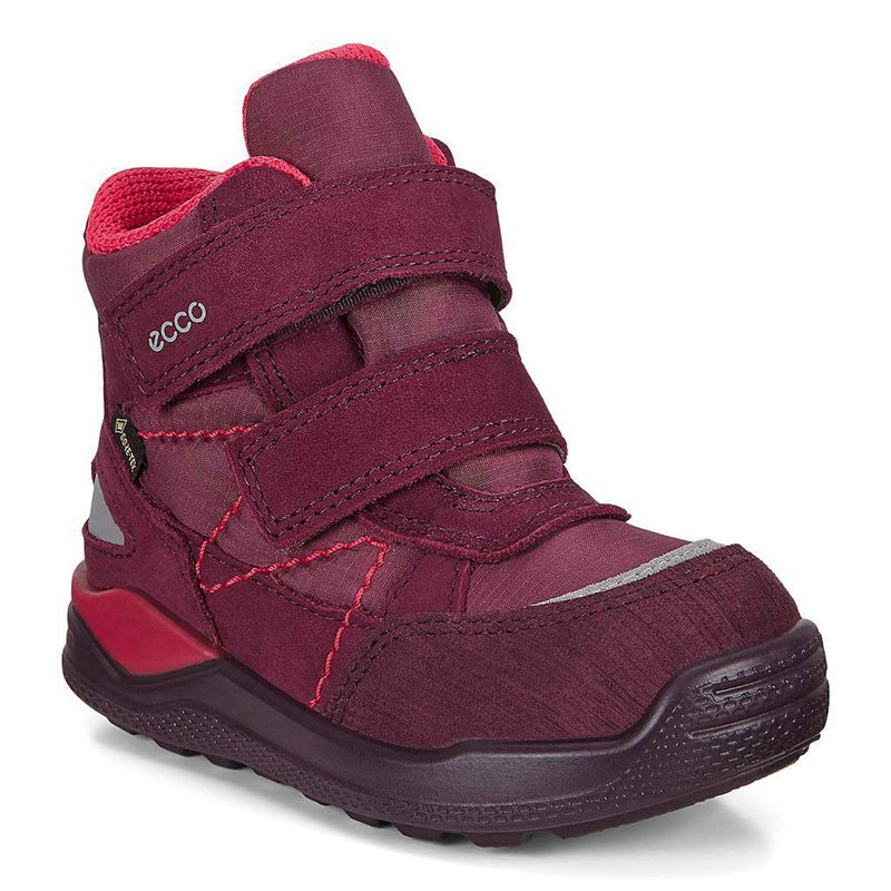 Kids Ecco Urban Mini - Boots Purple - India RSYIQU279
